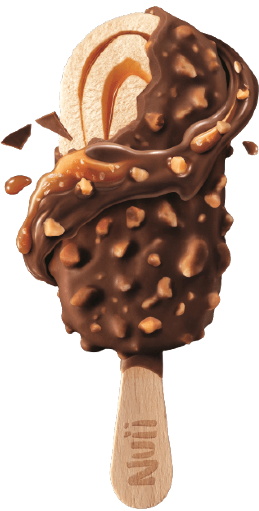 Australian Macadamia